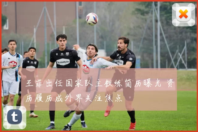 王菲出任国家队主教练简历曝光 资历履历成外界关注焦点